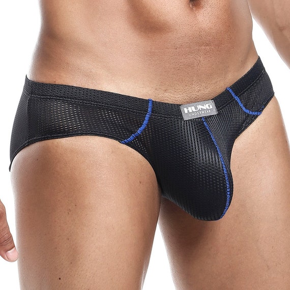 Mens Sexy Fierce Brief Underpants Low Rise Waist Pouch Enhancing Sheer  Underwear -  Canada