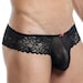 Secret Male SMI022 Bikini Sexy Design Sheer Pouch Slim Fit Mens Lace Underwear 