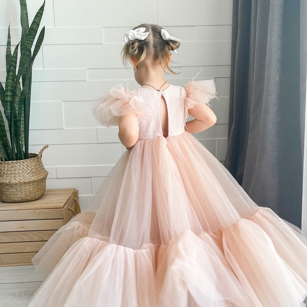 Blush Flower Girl Dress, Flowergirl dress, Junior bridesmaid dress, Tutu dress, Lace flower girl dress,