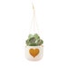 see more listings in the Hanging planters section