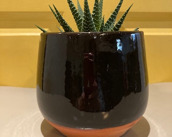 Black dipped terracotta pot