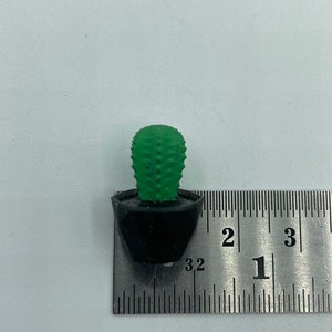May include: A small green cactus plant in a black pot, measured against a ruler. The cactus is about 1 inch tall.