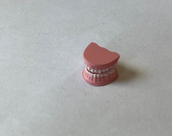 Tiny set of false teeth