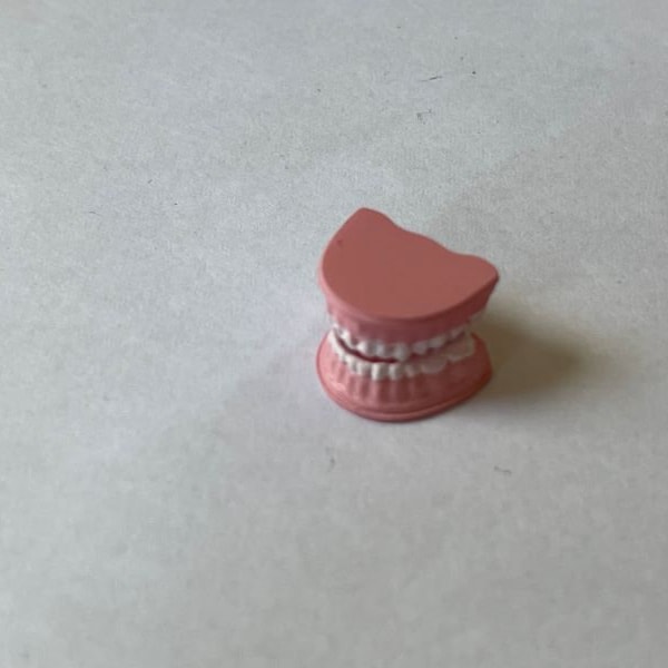 Tiny set of false teeth