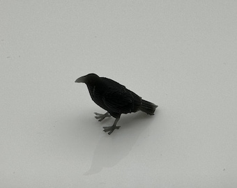 Petit corbeau - oiseau miniature