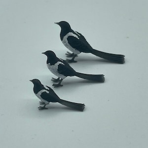 Tiny little magpie image 5