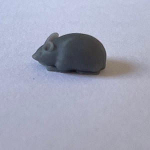 Tiny little grey mouse