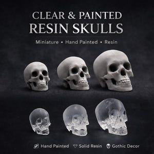 May include: A selection of clear and painted resin skulls. The image displays six miniature, hand-painted skulls. Three are opaque, and three are transparent. The text in the image reads "Clear & Painted Resin Skulls."