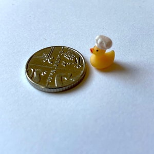May include: A small yellow rubber duck wearing a white chef's hat. The duck is next to a British one-pound coin.