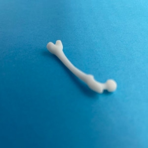 May include: A white plastic model of a human bone, resembling a femur, on a blue background.