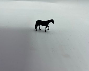 Little Miniature stallion