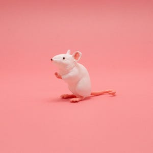 May include: A white toy mouse with pink ears and a pink tail sitting on a pink background.