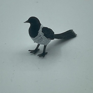 Tiny little magpie image 6