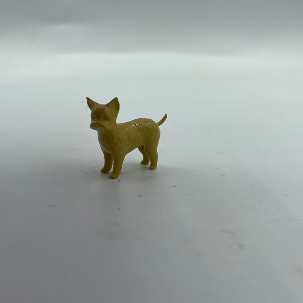 Little Miniature dog