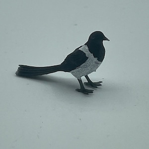 Tiny little magpie image 8