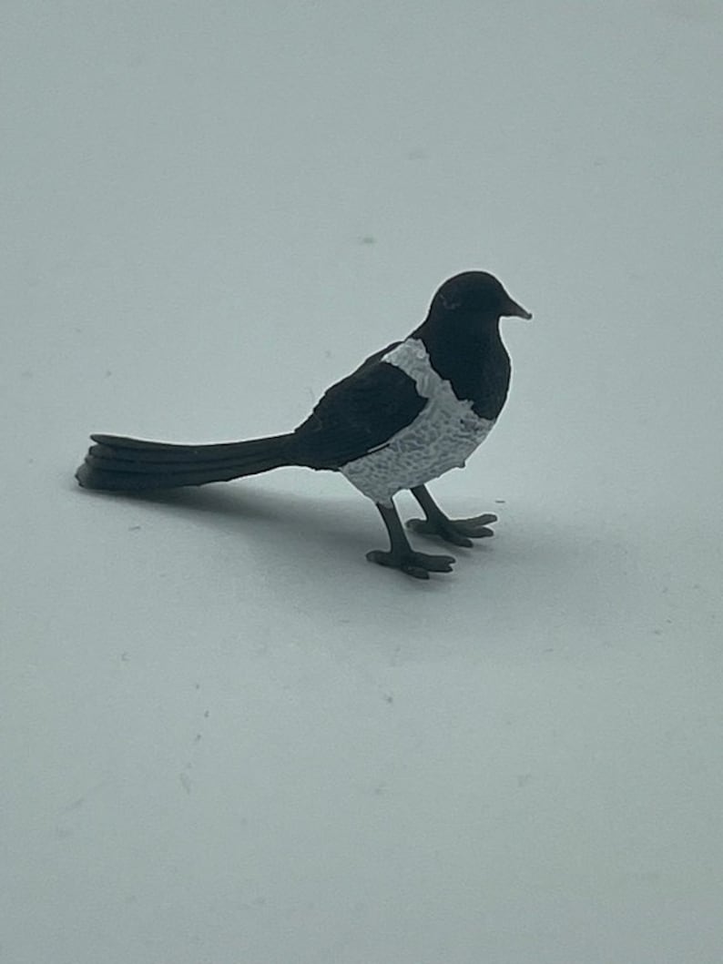 Tiny little magpie image 8