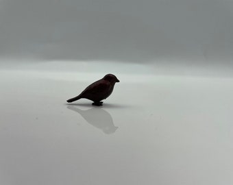 Beautiful little miniature wild birds