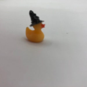 Delightful Miniature Ducks with magical sorting hats