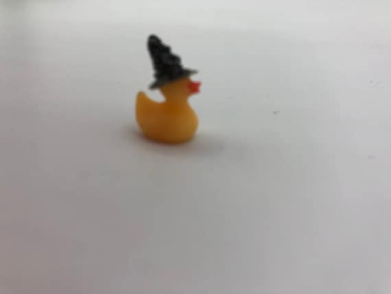 Delightful Miniature Ducks With Magical Sorting Hats 