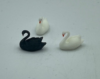 Tiny little elegant black or white swan, miniature bird