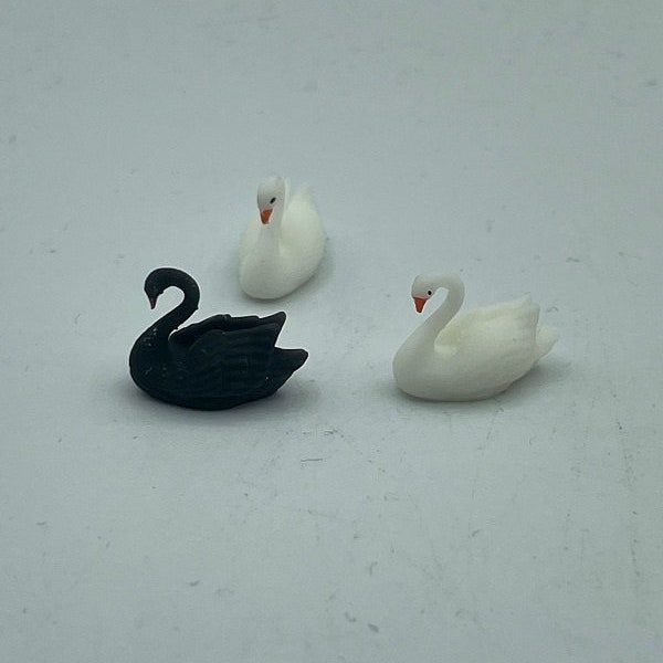 Winzig kleiner eleganter schwarzer oder weißer Schwan, Miniaturvogel