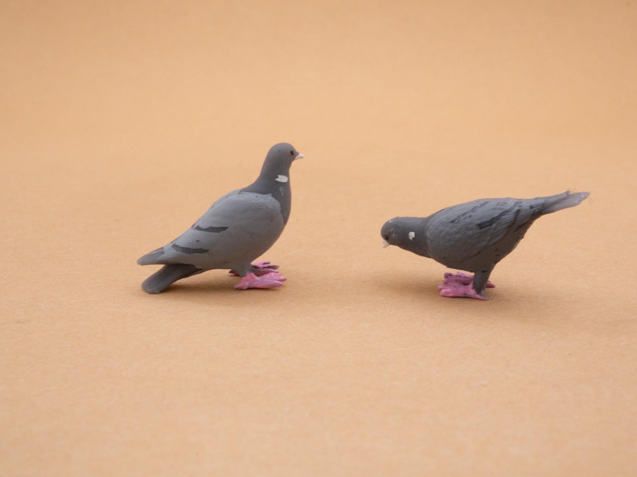 Lot De 20 Mini Pigeons En Résine – Figurines D’Oiseaux Pour Décoration Micro-Paysage – Modèle Colombe – Artisanat Et Éducatif