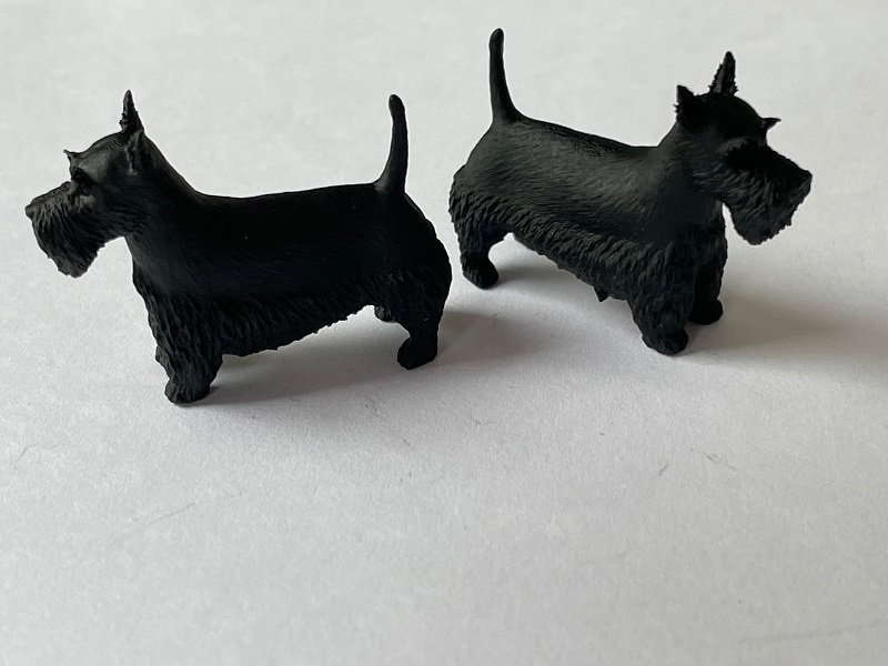 Chien Scottish Terrier Rolls royce Du Clos Des Dolls