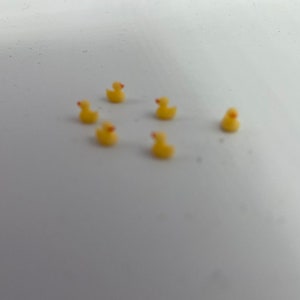 Set of 6 teeny tiny baby ducks