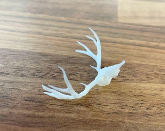 Red Deer Head Antlers Skull Miniature, Gothic Decor, Halloween Decor, Diorama Prop, Reindeer, Animal Skull, Wall Mounted
