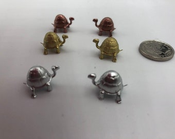 Gorgeous little miniature turtles