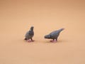 Miniature Pigeon Figurine – Realistic Hand-Painted Bird, Tiny Nature-Inspired Collectible, Dollhouse Decor Gift
