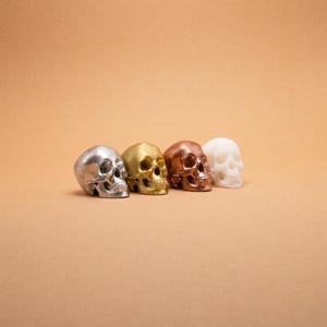 Realistic Mini Skull – Spooky Dollhouse Accessory, Skull Ornament, Gothic Collectible Statue, Halloween Decor