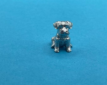 Cute little miniature terrier