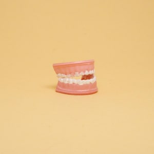Tiny Set of Miniature False Teeth | Dollhouse Dental Accessory | Unique Curiosity Decor | Collectible Mini Dentures | Gift Idea