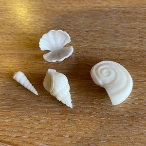 May include: Four white seashells of different shapes and sizes are displayed on a wooden surface. The collection includes a fan-shaped shell, a spiral shell, and two cone-shaped shells. The shells are all a bright white colour.