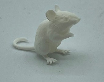 Lovely little miniature mouse