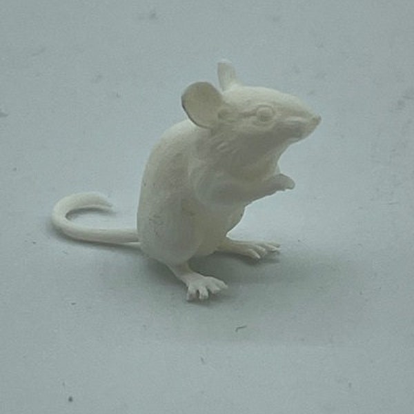 Lovely little miniature mouse