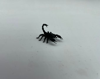 May include: A black plastic scorpion figurine. The scorpion is posed with its tail raised and its claws extended.