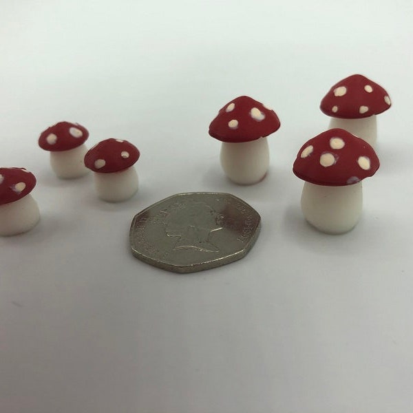 Little miniature Toadstools