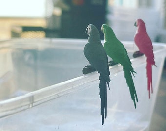 May include: Three parrots perched on a clear plastic container. The parrot on the left is gray, the middle parrot is green, and the parrot on the right is pink.