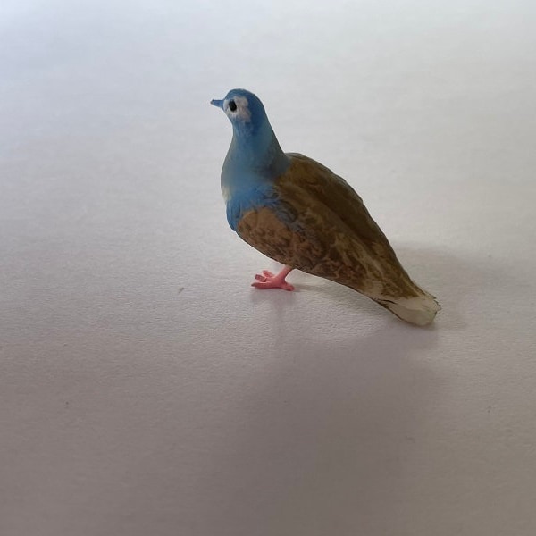 Beautiful little miniature turtle dove