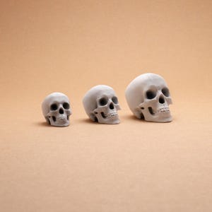 Mini Skull Decor – Tiny Bones for Crafts, Halloween Miniatures, Gothic Dollhouse Accessories, Spooky Terrarium Supplies