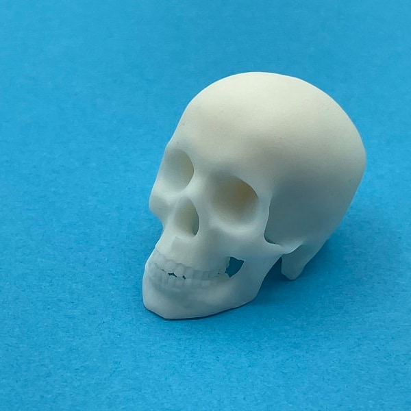 Miniature Skull