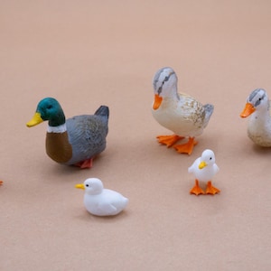 May include: A collection of six duck figurines. One is a male mallard with a green head, yellow beak, and gray body. The others are white and gray with orange feet and yellow beaks. The ducks vary in size.