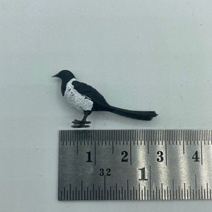 Tiny little magpie image 7