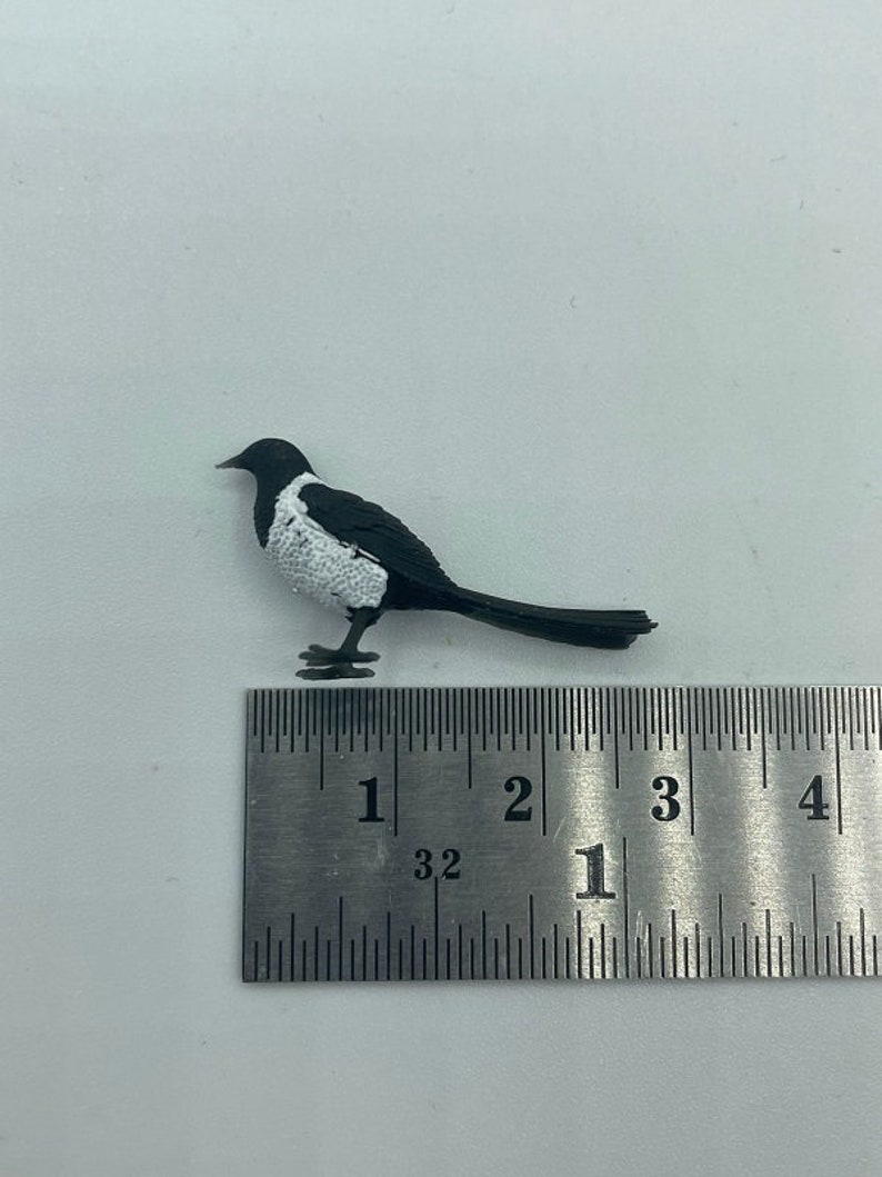 Tiny little magpie image 7