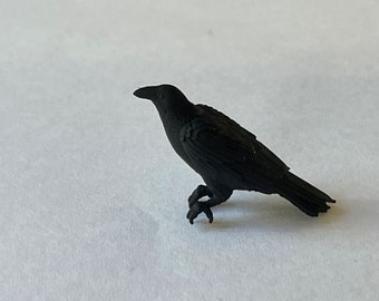 Little miniature crow with perching feet