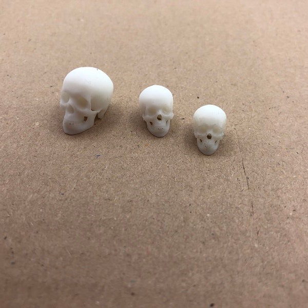 Tiny miniature skulls