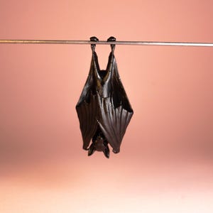 Miniature Hanging Bat | Miniature Halloween Decor | Spooky Dollhouse Accessory | Collectible Gothic Bat Sculpture Gift
