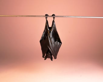 Miniature Hanging Bat | Miniature Halloween Decor | Spooky Dollhouse Accessory | Collectible Gothic Bat Sculpture Gift